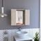 Tuhome Artemisa Medicine Cabinet, Double Door, Mirror, One External Shelf, Light Gray GLZ6751 - alternate 3